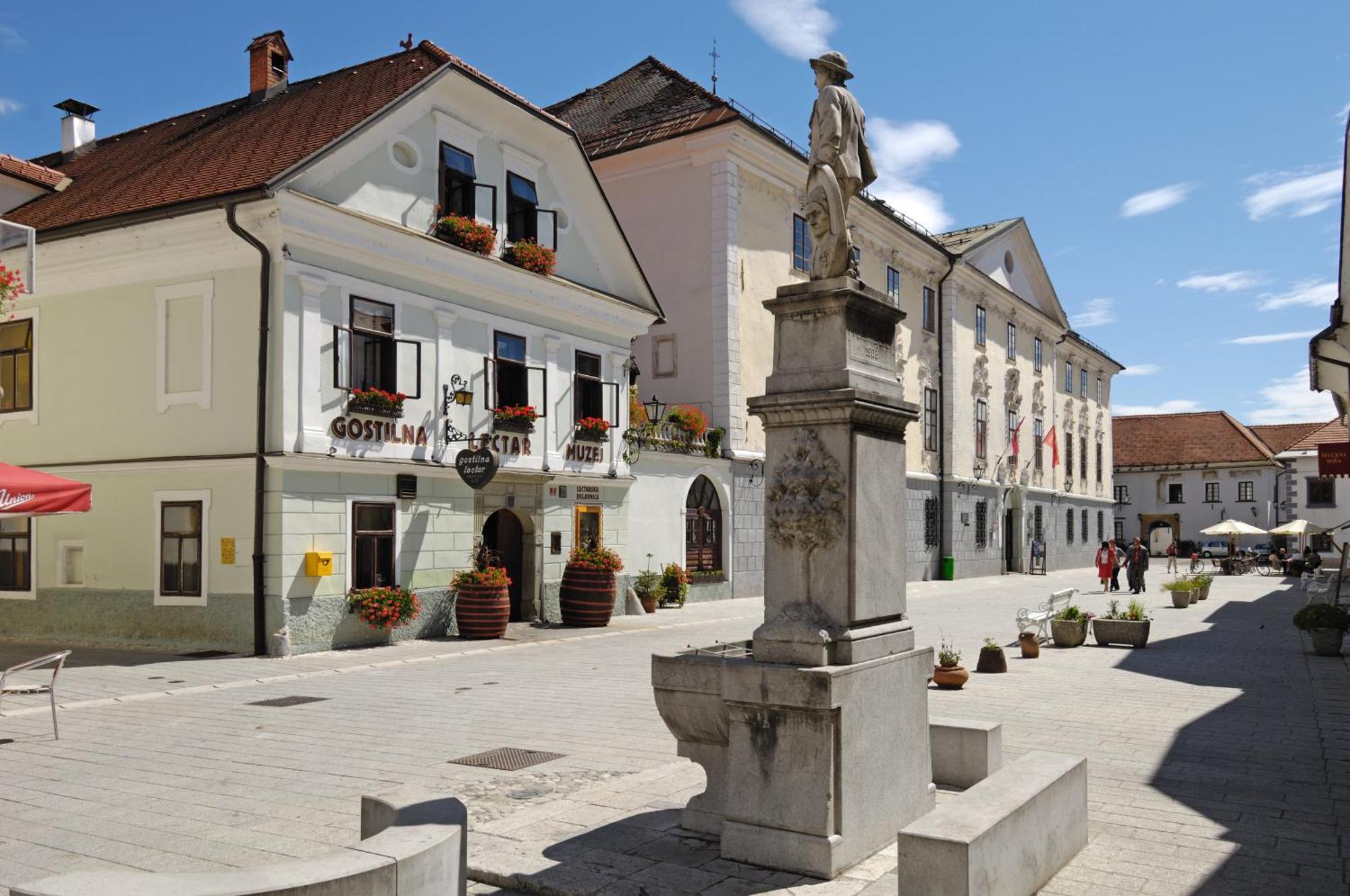 Pension Lectar Radovljica Exterior photo