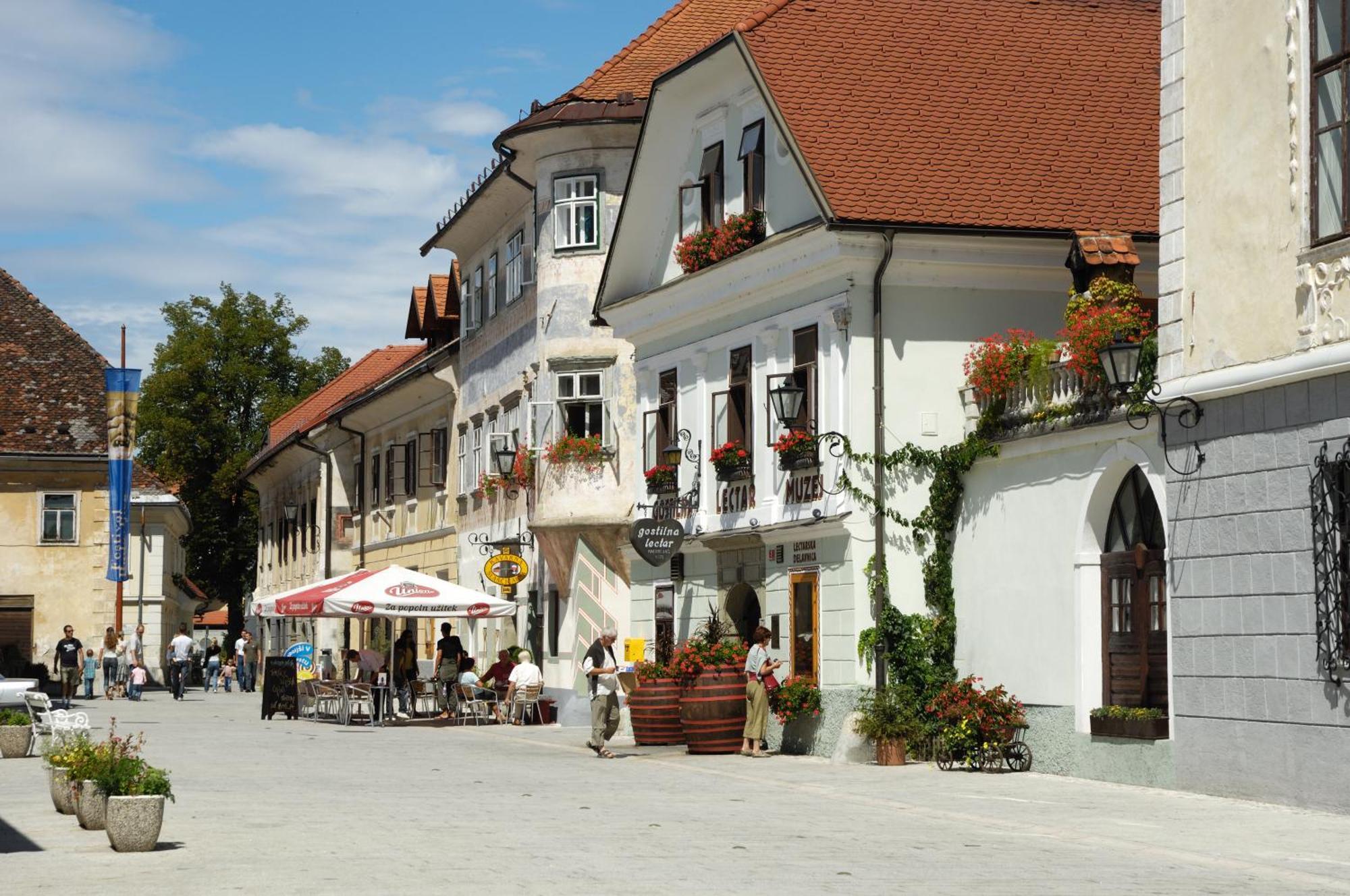 Pension Lectar Radovljica Exterior photo